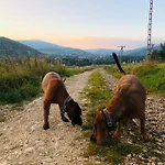 Golabek Casa vacanze Stronie Śląskie