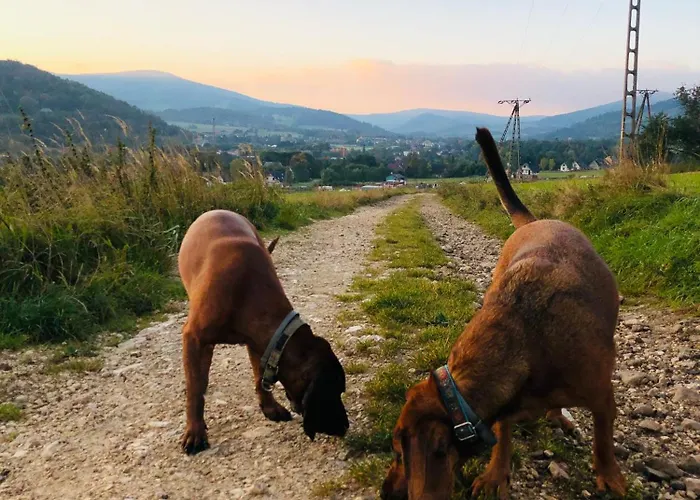 Golabek Holiday home Stronie Slaskie